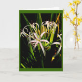 Carte de voeux Lilies (Fleur jaune)