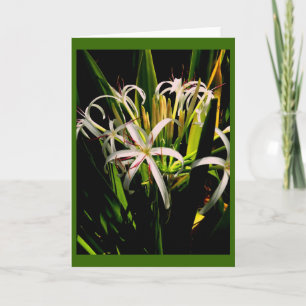 Carte de voeux Lilies