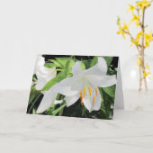 Carte de voeux Lilies (Fleur jaune)