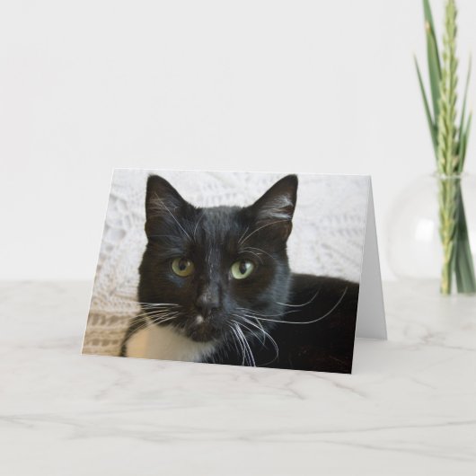 Carte de voeux : Lilly (Devant)