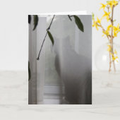 Carte de voeux : Lilly regardant le chat (Fleur jaune)