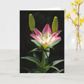 Carte de voeux Lily (Fleur jaune)