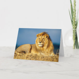 Carte de voeux Lion