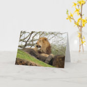 Carte de voeux Lion (0356) (Fleur jaune)