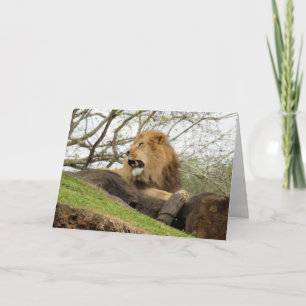 Carte de voeux Lion (0356)
