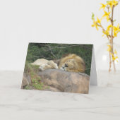 Carte de voeux Lion couché (Fleur jaune)