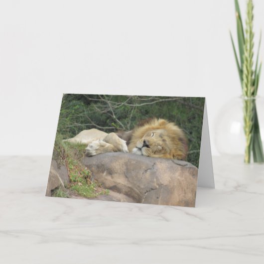 Carte de voeux Lion couché (Devant)