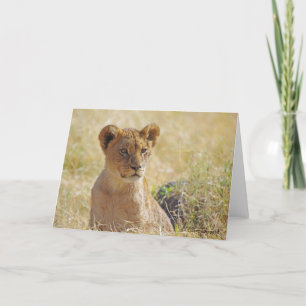 Carte de voeux Lion Cub