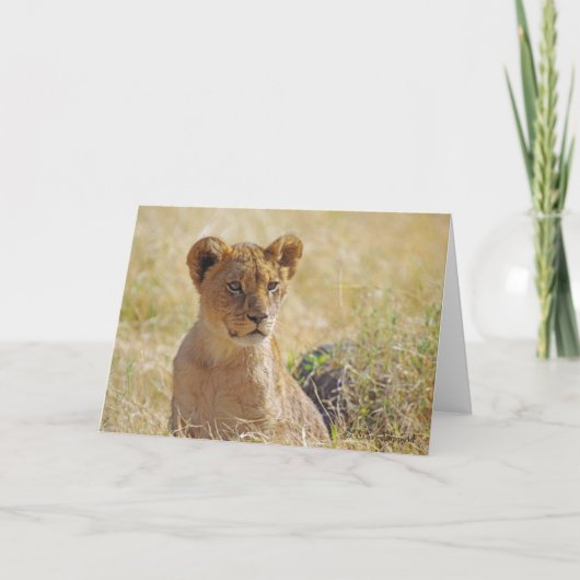 Carte de voeux Lion Cub (Devant)