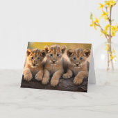 Carte de voeux Lion Cubs (Fleur jaune)