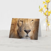 Carte de voeux Lion Images (Fleur jaune)