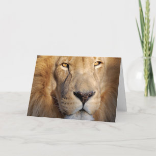 Carte de voeux Lion Images