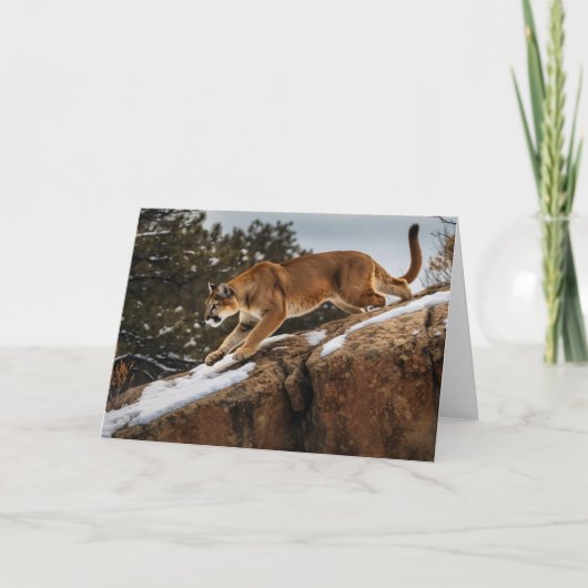 Carte de voeux Lion Mountain (Devant)