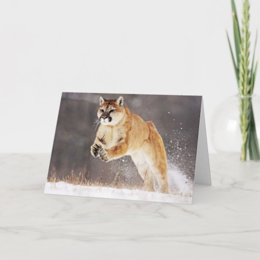 Carte de voeux Lion Mountain (Devant)