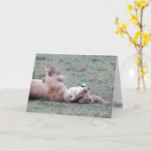 Carte de voeux Lioness & Cubs (Fleur jaune)