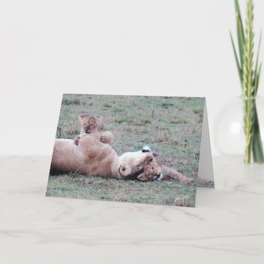 Carte de voeux Lioness & Cubs (Devant)