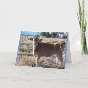 Carte de voeux Little Jersey Cow