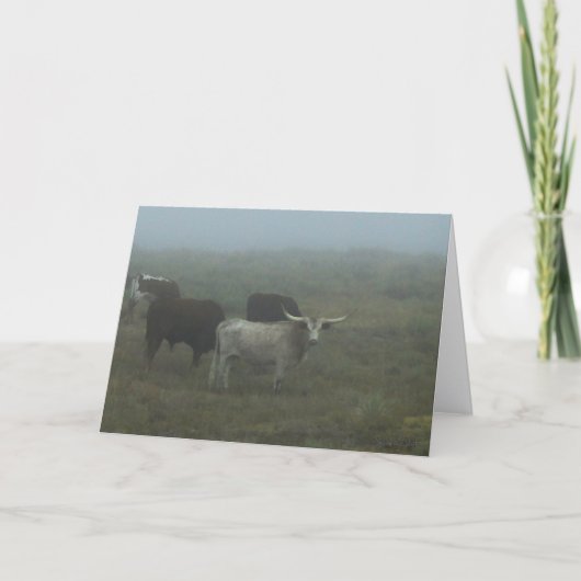 Carte de vœux "Longhorns in the Fog" (intérieur vi (Devant)