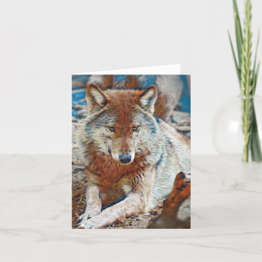 Carte de vœux Loup (Devant)