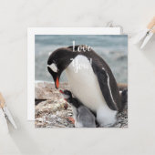 Carte de voeux Love Flat (Devant/Arrière en situation)