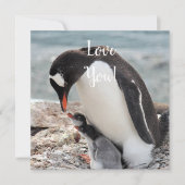Carte de voeux Love Flat (Devant)