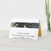Carte de voeux Lusitano Stallion Horse (Dos)