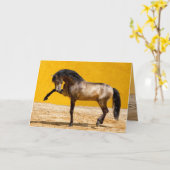 Carte de voeux Lusitano Stallion Horse (Fleur jaune)