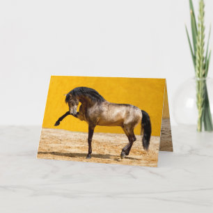 Carte de voeux Lusitano Stallion Horse