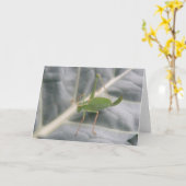 Carte de voeux Macro Cricket Vert (Fleur jaune)
