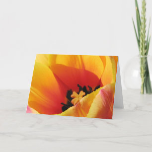 Carte de voeux Macro Tulip Jaune