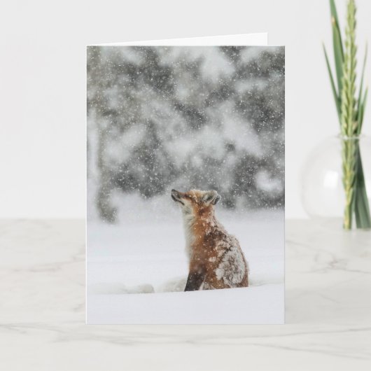 Carte de vœux "Magie de l'hiver" (Devant)