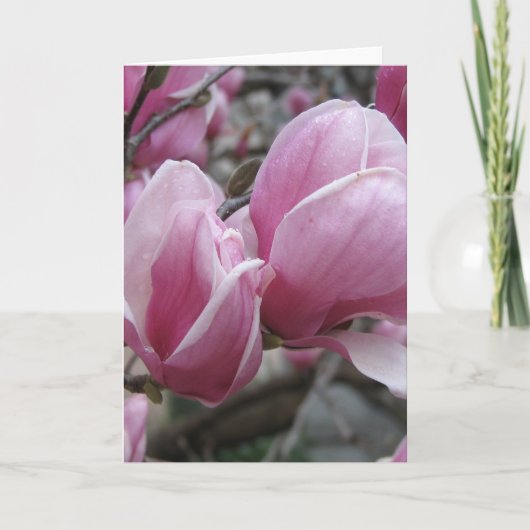 Carte de voeux Magnolia (Devant)