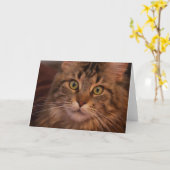 Carte de voeux Maine Coon (Fleur jaune)