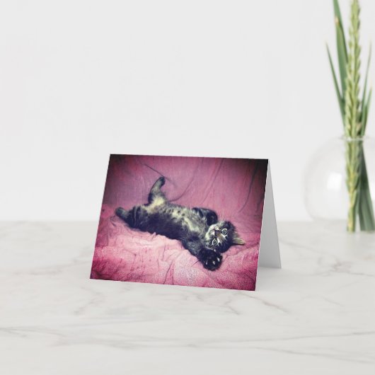 Carte de voeux Maine Coon Cat Kitten (Devant)