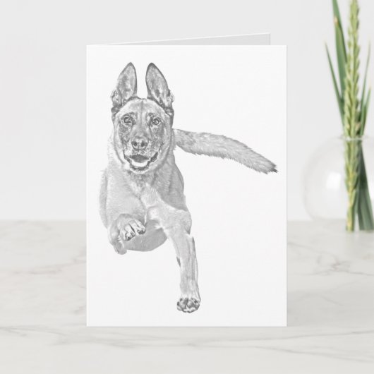 Carte de voeux Malinois au crayon personnalisé (Devant)