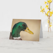 Carte de voeux Mallard Drake (Fleur jaune)