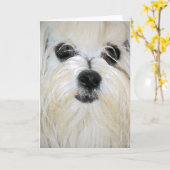 Carte de voeux maltaise (Fleur jaune)