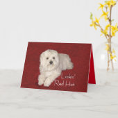 Carte de voeux maltaise 60e anniversaire en rouge/ (Fleur jaune)