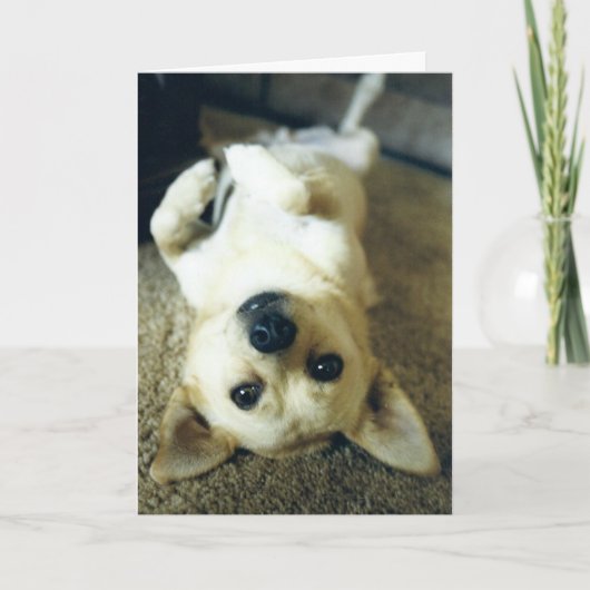 carte de voeux manquante (Devant)