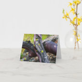 Carte de voeux Manzanita (Fleur jaune)