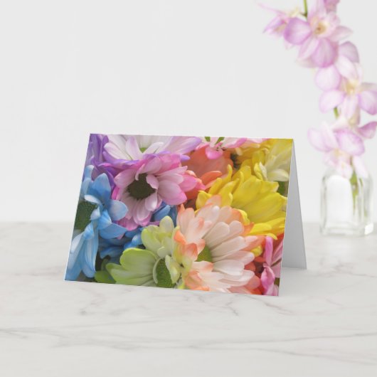 Carte de voeux - Marguerites multicolores II (Orchidée)