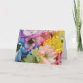 Carte de voeux - Marguerites multicolores II (Devant)