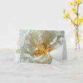 Carte de voeux Mariage Rose douce blanche (Fleur jaune)