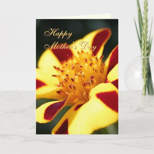 Carte de vœux Marigold Bouffon Joyeux pour la Fête (Devant)