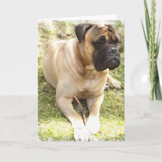 Carte de voeux Mastiff (Devant)