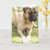 Carte de voeux Mastiff (Fleur jaune)