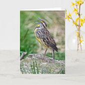 Carte de voeux Meadow Lark (Fleur jaune)