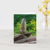 Carte de voeux Meerkat (Fleur jaune)