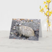Carte de voeux Meerkat (1043) (Fleur jaune)