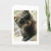 Carte de voeux Meow Cats 2 (Dos)